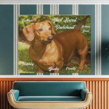 Kurzfristige Red Dackel Imitate Wrapped Canvas