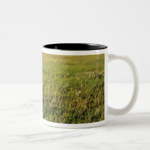 Kurzgrasprärie im entfernten Nordosten Zweifarbige Tasse