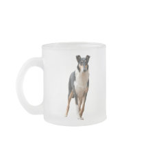 Kurzhaar Collie