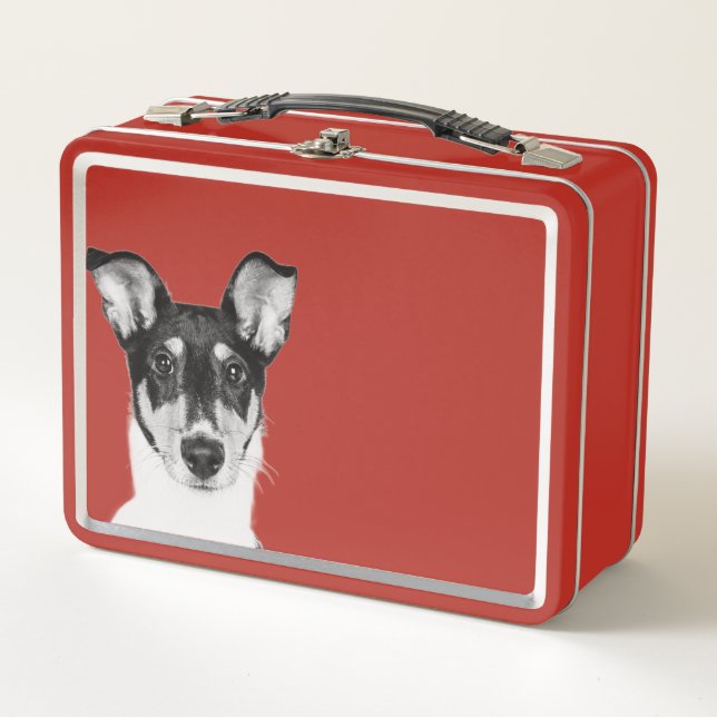 Kurzhaar Collie Metall Brotdose (Vorderseite)