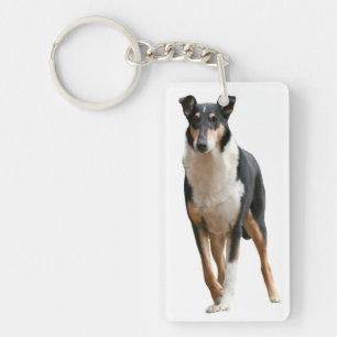 Kurzhaar Collie Schlüsselanhänger