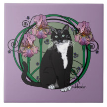 Kurzhaarige Schwarzweiss-Katze mit Iris