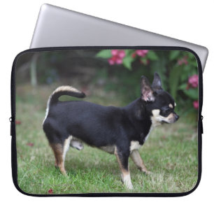 Kurzhaariger Chihuahua stehend Laptopschutzhülle