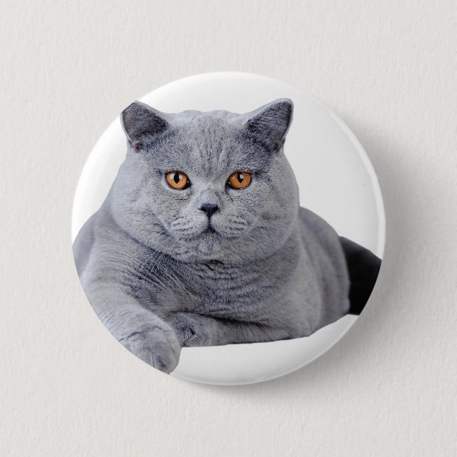 Kurzhaarkatze Button (Vorderseite)