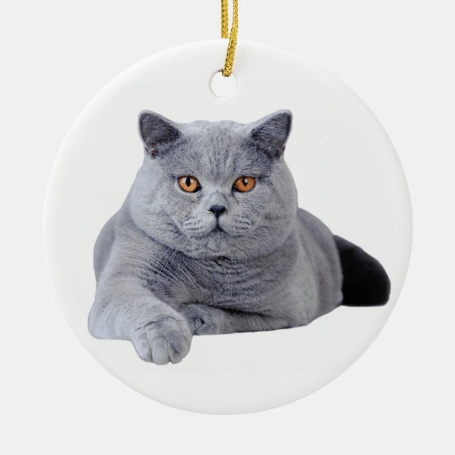 Kurzhaarkatze Keramikornament (Vorne)