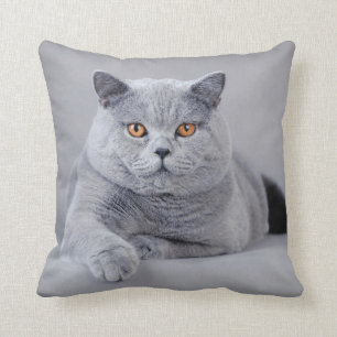 Kurzhaarkatze Kissen