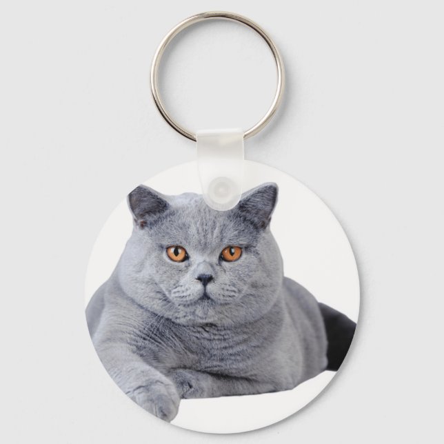 Kurzhaarkatze Schlüsselanhänger (Vorderseite)