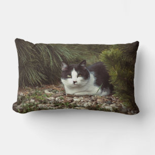 Kurzkatze - Kissen