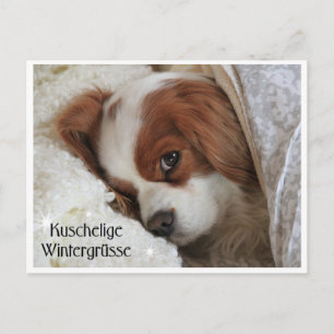 Kuschelige Wintergrüsse Postkarte