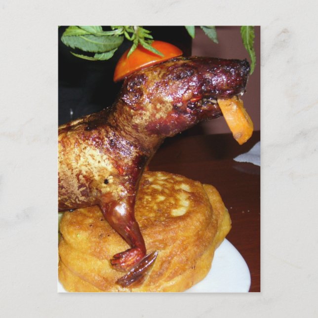 kuscheliges Gesicht Postkarte (Vorderseite)