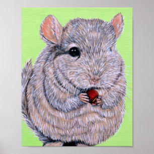 Kuschelndes knabberndes Chinchilla-Gemälde Poster