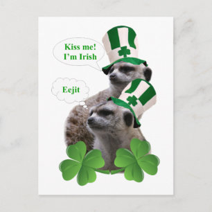 Kuss mir, ich bin ein irisches Mekka-Design Postkarte