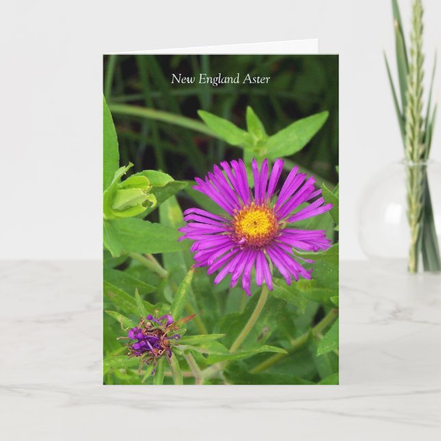 Küss ohne Umarmung... Gartenangebot Karte (Vorderseite)