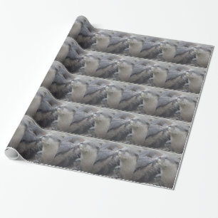 Küssen der Fluss-Otter Geschenkpapier