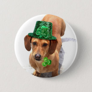 Küssen Sie mich, den ich irische Dackel bin Button