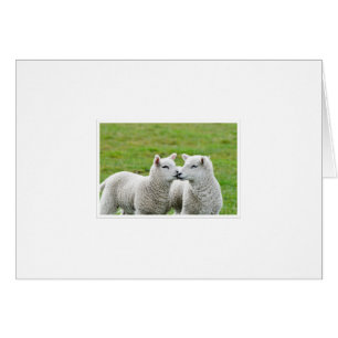 Küssen Sie und bilden Sie