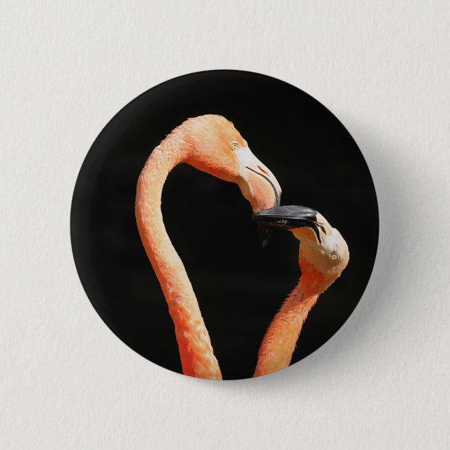 Küssen von Flamingos Button (Vorderseite)