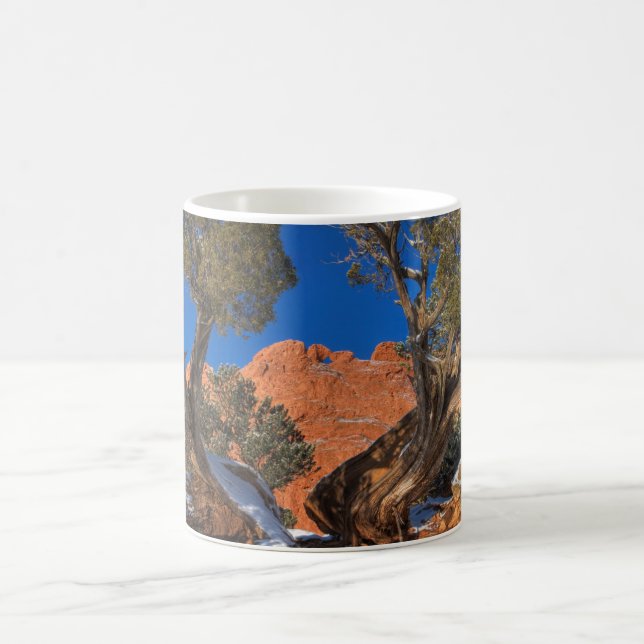 Küssen von Kameln Gerahmt von Bäume 01 Kaffeetasse (Mittel)