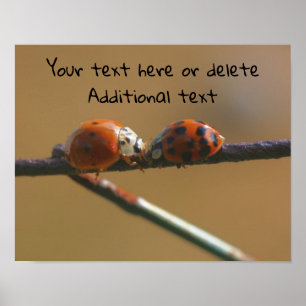 Küssen von Ladybugs Personalisiert Poster