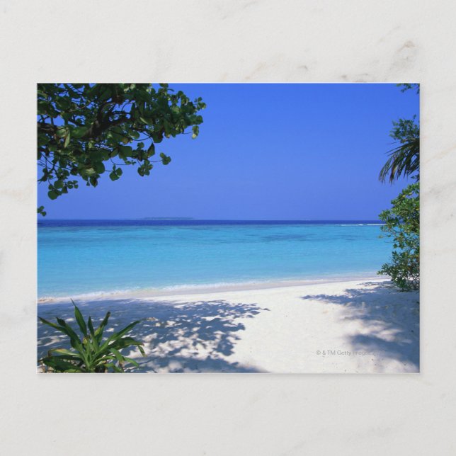 Küste 13 postkarte (Vorderseite)