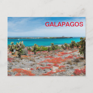 Küste bei Galapagos Postkarte