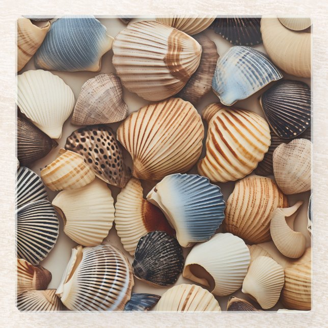 Küste Muscheln Glass Coaster Glasuntersetzer (Vorderseite)