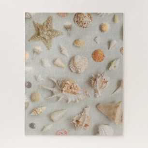 Küste Seashells Starfish Beach Beige