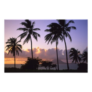 Küste St. Kitts Fotodruck