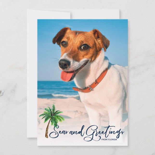 Küste Strand Meer & Grüße Weihnachten 2-Foto (Vorderseite)