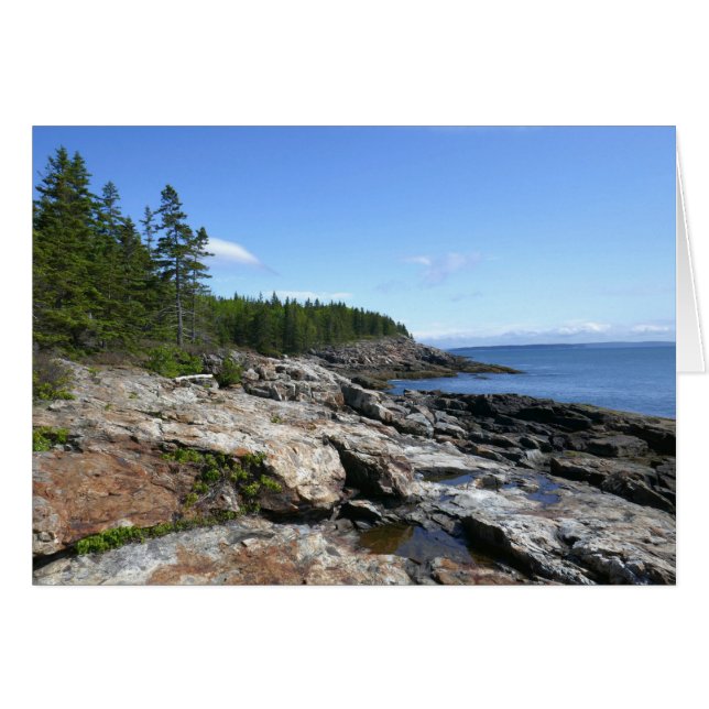 Küste von Bar Island im Acadia Nationalpark (Vorderseite (Horizontal))