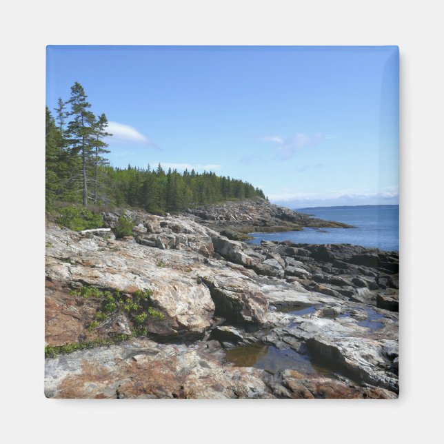 Küste von Bar Island im Acadia Nationalpark Magnet (Vorne)