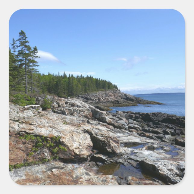 Küste von Bar Island im Acadia Nationalpark Quadratischer Aufkleber (Vorderseite)