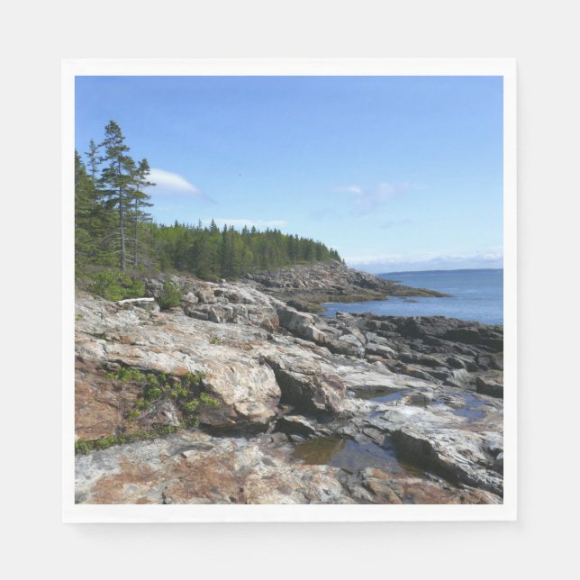 Küste von Bar Island im Acadia Nationalpark Serviette (Vorderseite)