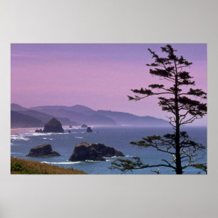 Küste von Oregon, Ecola Staat Park, Oregon Poster