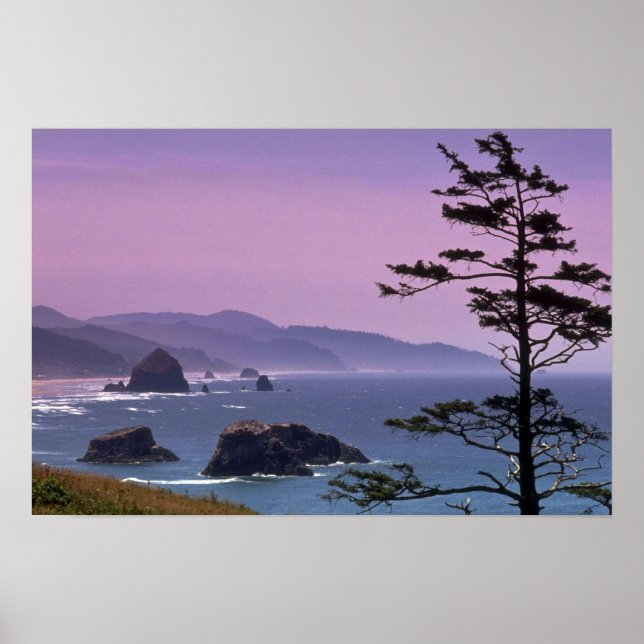 Küste von Oregon, Ecola Staat Park, Oregon Poster (Vorne)