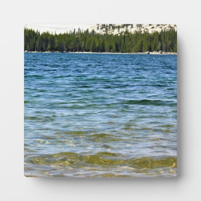 Küste von Tenaya Lake, Yosemite, CA Fotoplatte (Vorderseite)