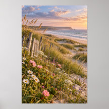 Küsten Dünen Wildblumen Sonnenuntergang Strand Wan
