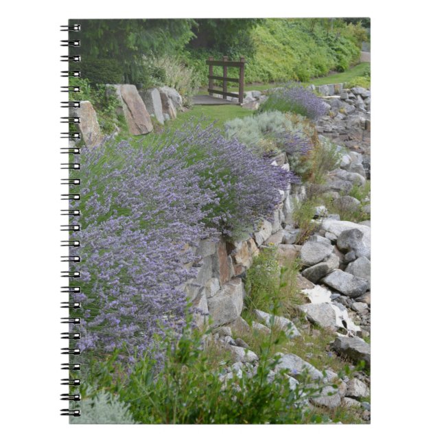 Küsten-Lavendel-Weg-Zeitschrift Notizblock (Vorderseite)