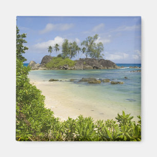 Küstenansicht auf Mahe Island Magnet