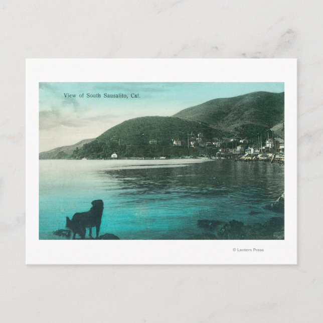 Küstenansicht von South SausalitoSausalito, CA Postkarte (Vorderseite)