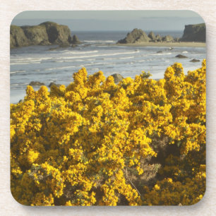 Küstenansichten, Bandon, Oregon Untersetzer