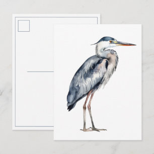 Küstenblauer Reiher Postkarte