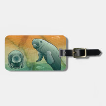 Küstenflorida-Manatis