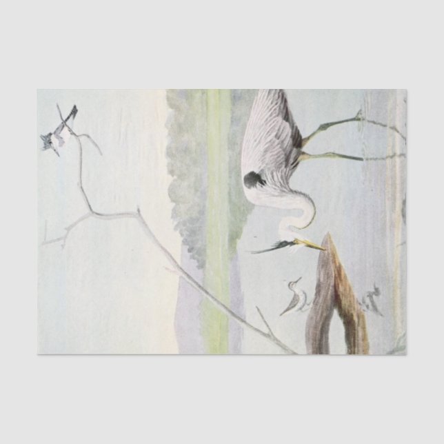 Küstenkraut, Kaisergranat und Sandpiper, Aquarell Seidenpapier (Vorderseite)