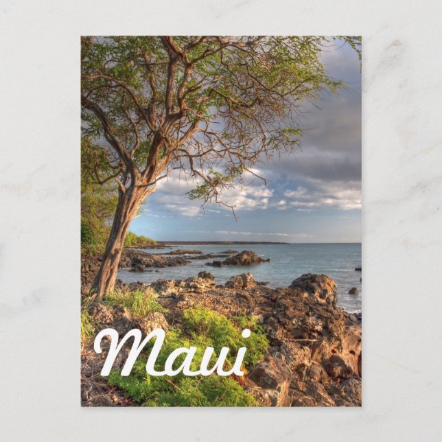 Küstenlinie Maui Postkarte (Vorderseite)