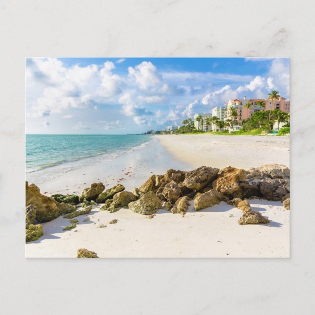 Küstenlinie | Neapel Pier, Südwestflorida Postkarte (Vorderseite)