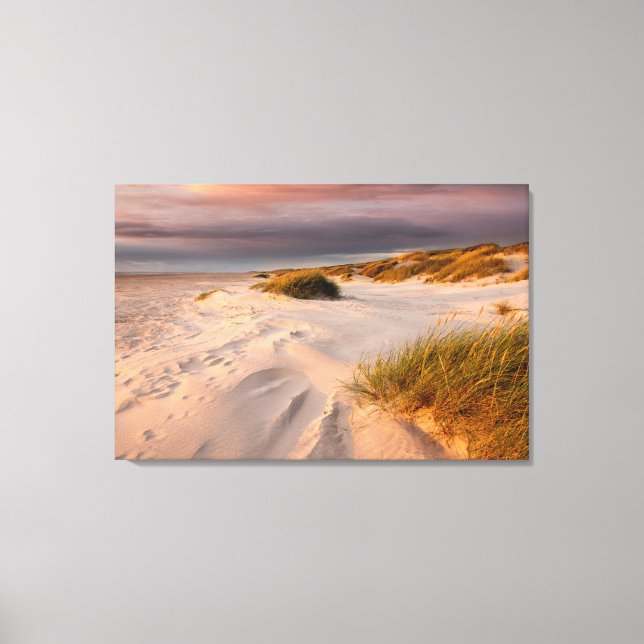 Küstenlinie | Saltum Beach, Dänemark Leinwanddruck (Vorderseite)