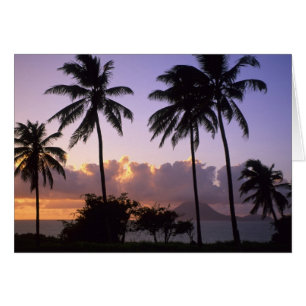 Küstenlinie St. Kitts