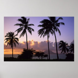 Küstenlinie St. Kitts Poster