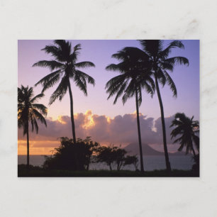 Küstenlinie St. Kitts Postkarte
